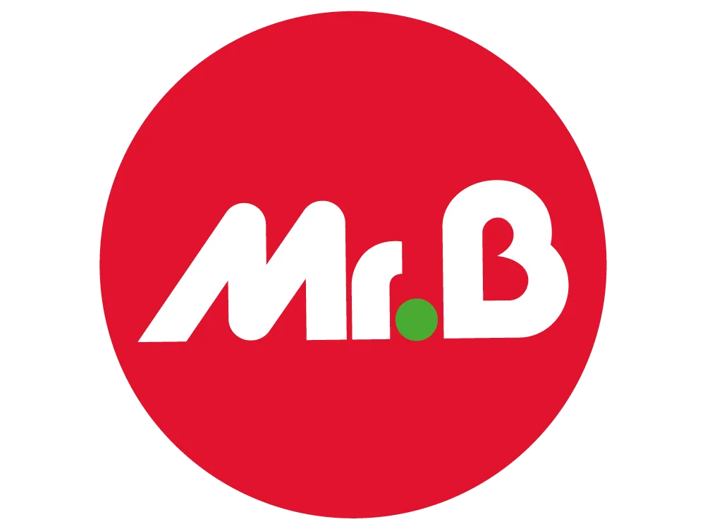 Mr Bricolage